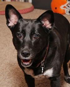 Molly