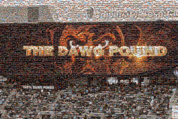 2014 In Review